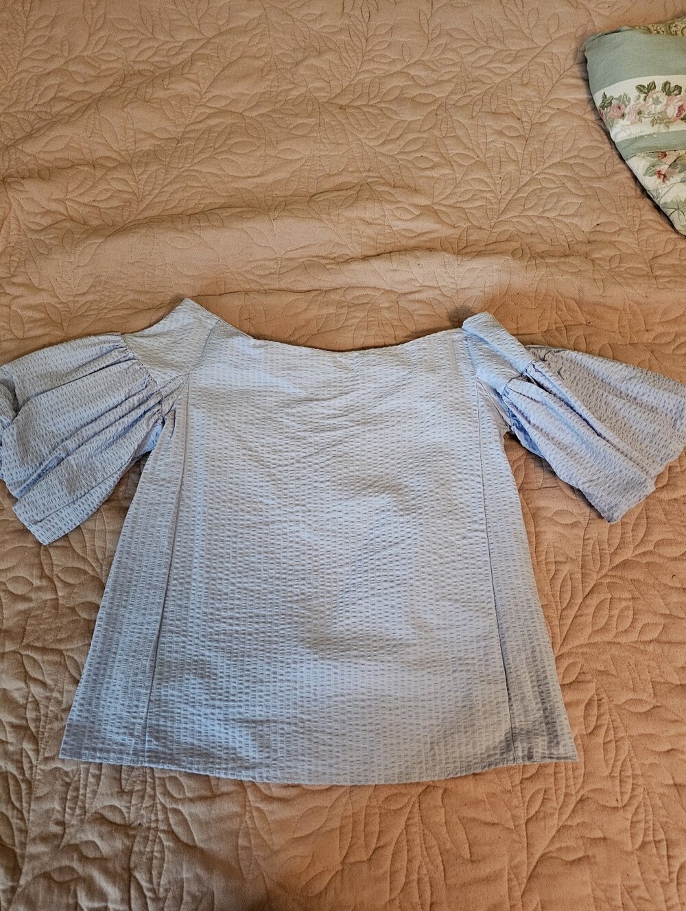 Light Blue Off The Shoulder Puff-Sleeve Women's Top